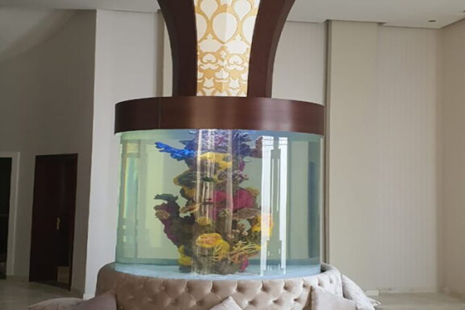 Aquarium with-top cladding