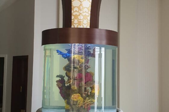 Aquarium with top cladding