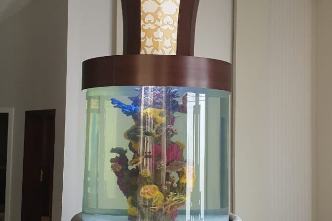 Aquarium with top cladding